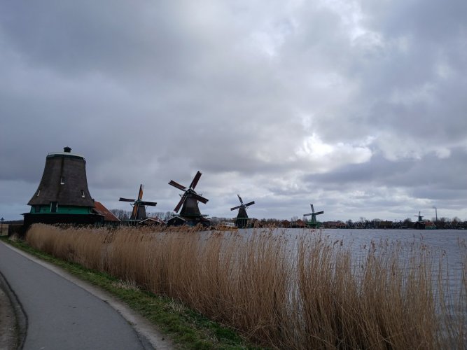20250311_140139.jpg